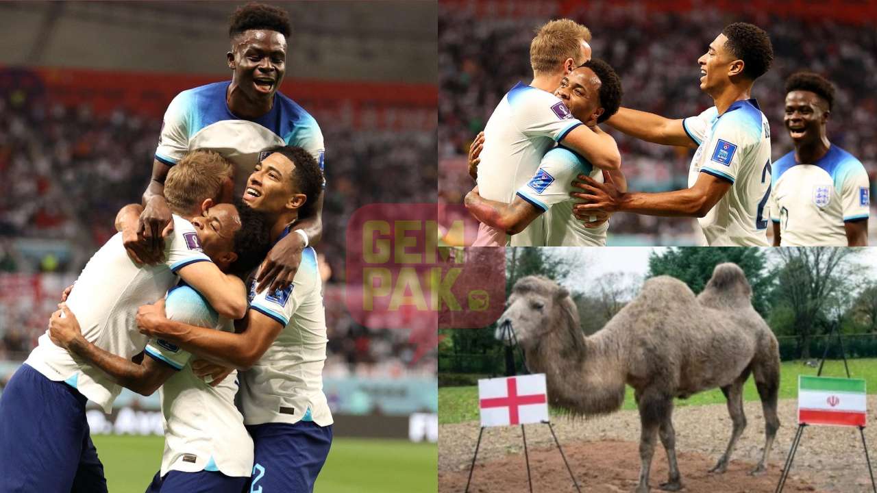 world-cup-qatar-2022-ramalan-unta-psikik-tepat-england-pesta-gol-tewaskan-iran-6-0.jpg