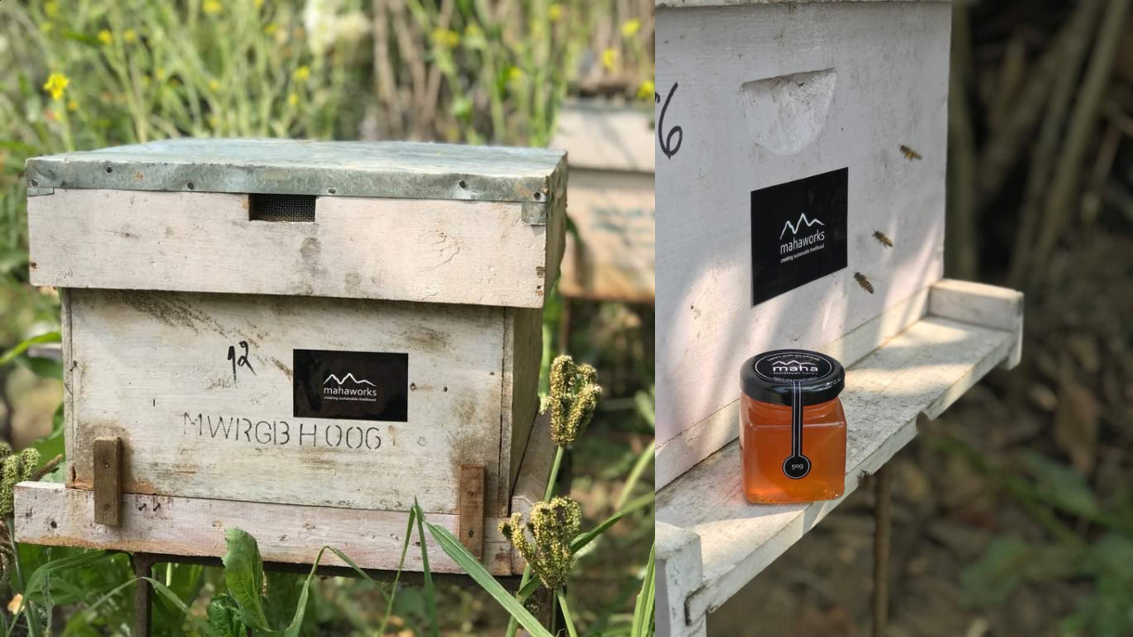 mahaworks honey