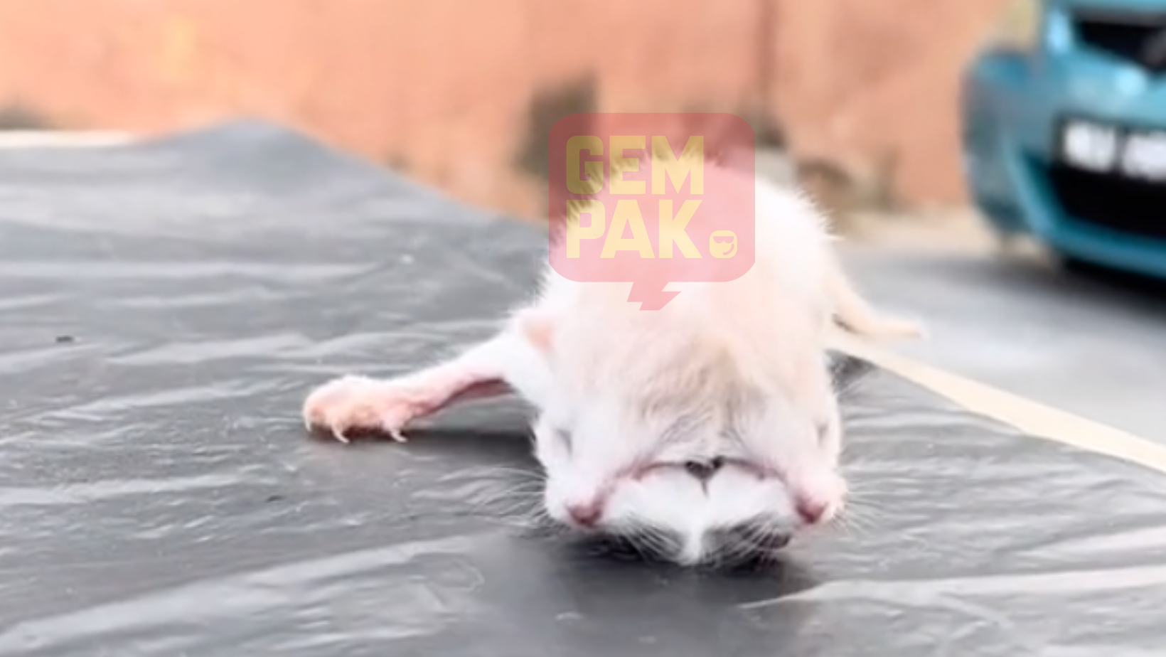 ekin-2_3.png