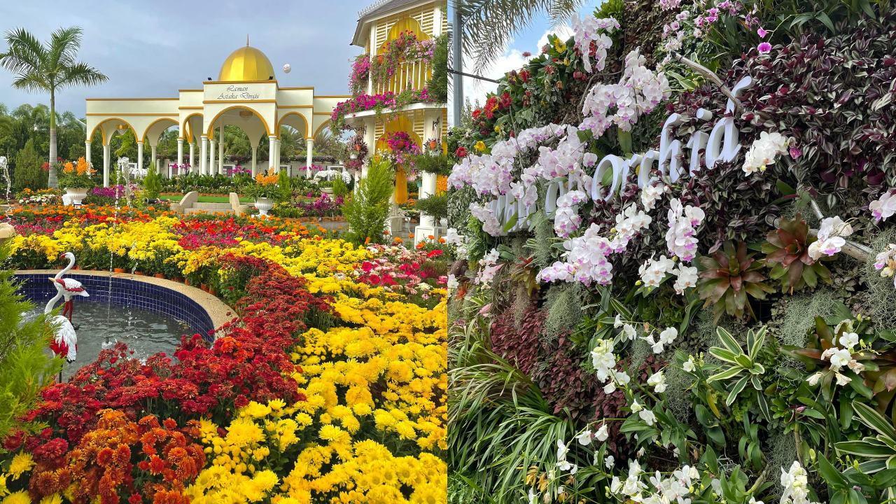 floria_header.jpg