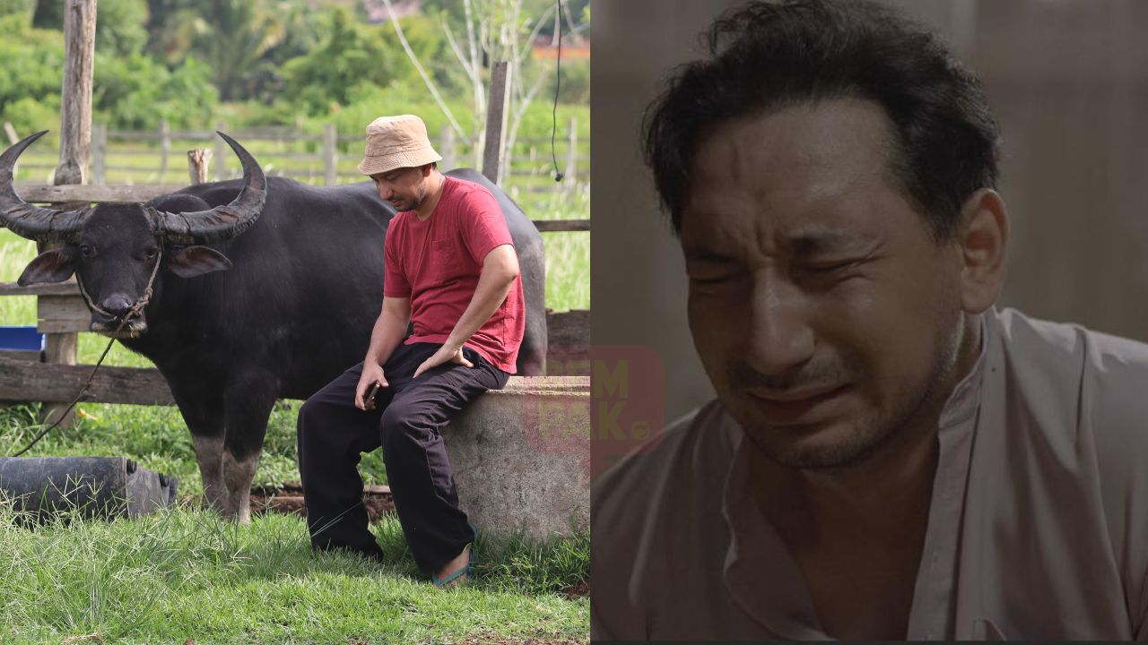 zizan_damak_header.jpg