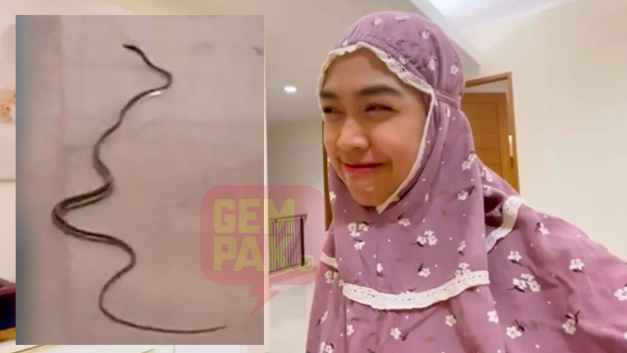 sekadar-gambar-hiasan-2023-04-20t021741-939.png