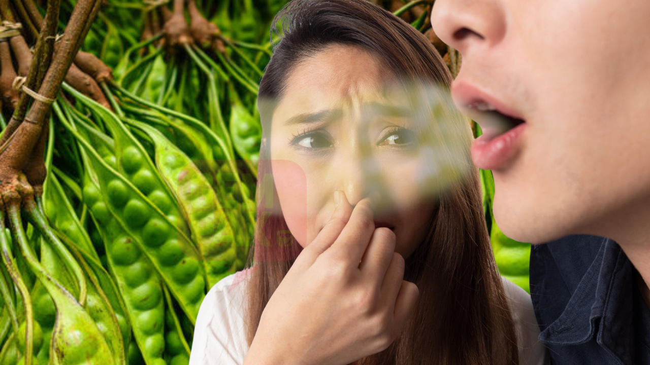 sekadar-gambar-hiasan-2023-07-31t143455-482.png