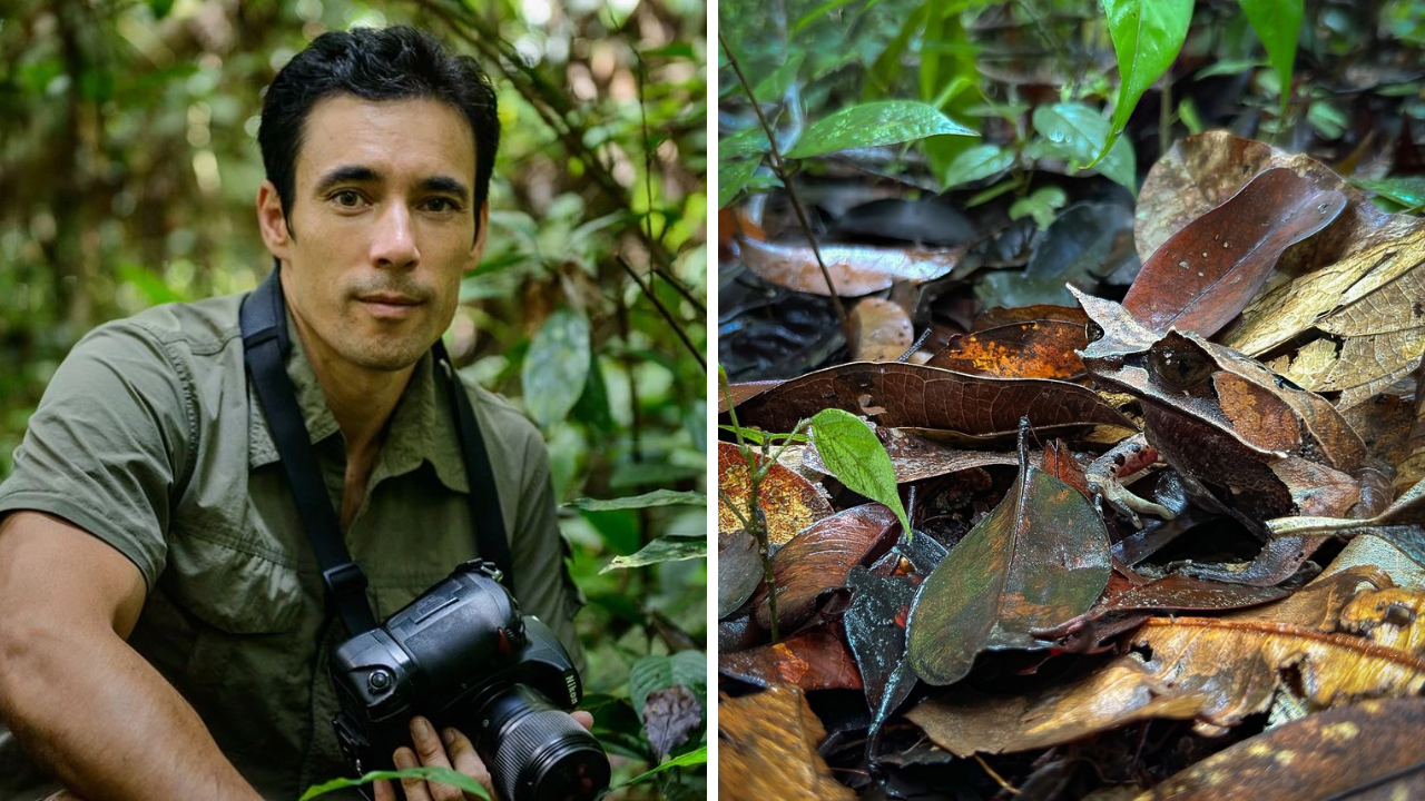 chien-c-lee-photography-borneo.png