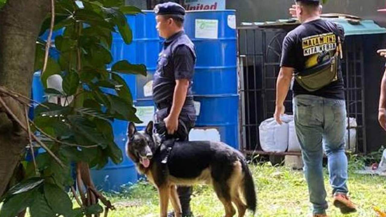 kes-bunuh-zayn-rayyan-anjing-pengesan-k9-turun-padang-netizen-ucap-good-luck-falco.jpg