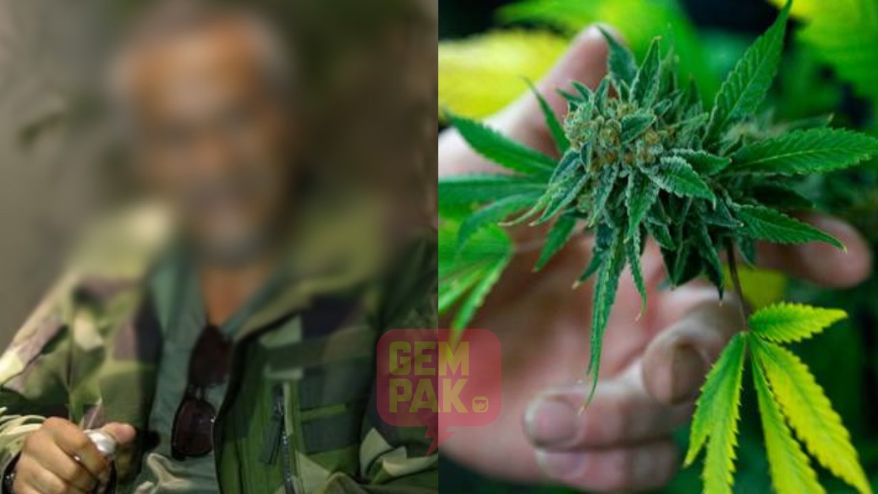 selamba-aktor-senior-ini-mengaku-tanam-99-pokok-ganja-jadi-pengedar.jpg