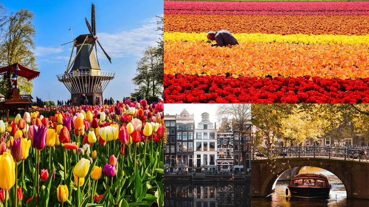 amsterdam-(9).jpg
