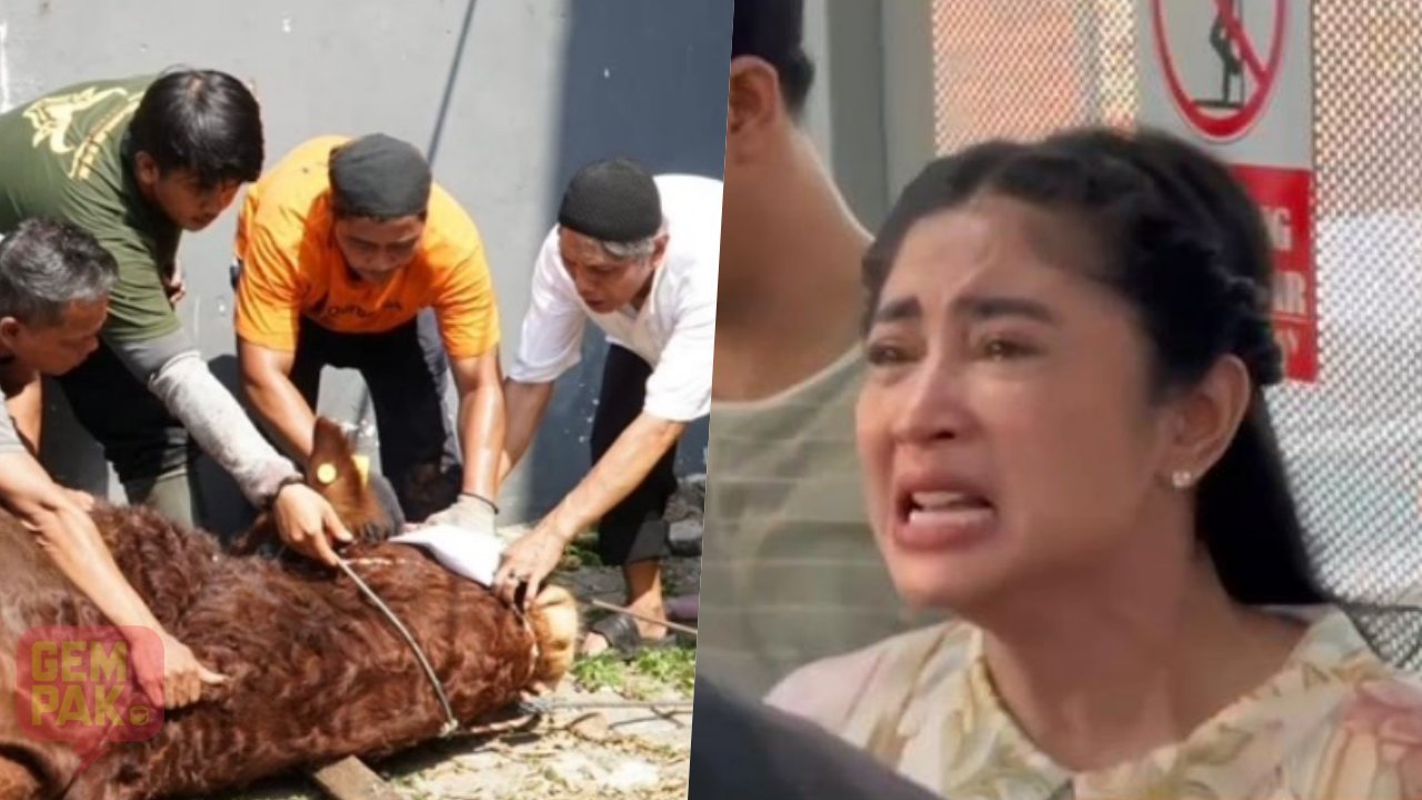 dewi-perssik-meraung-lihat-lembu-dikorban.jpg
