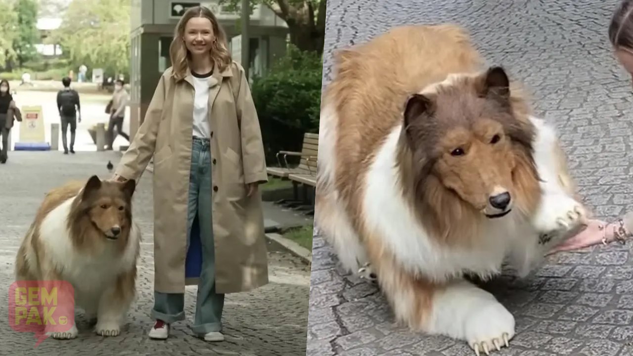 youtuber-jadi-anjing.jpg