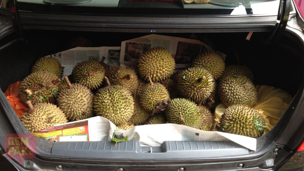 durian-dalam-kereta.jpeg