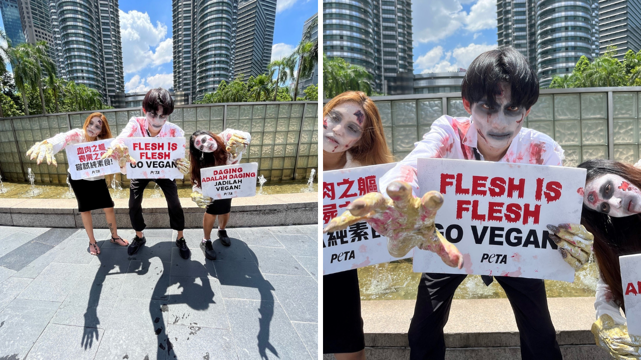 peta-zombies-malaysia.png