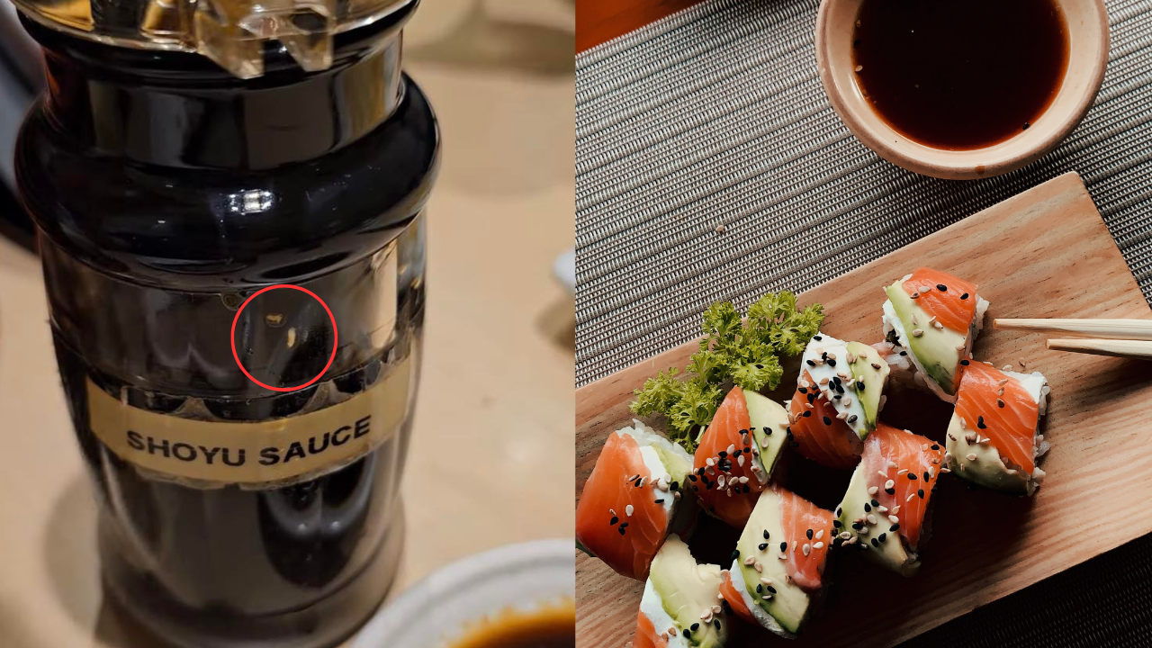 sushi-zanmai-maggots-(1).png
