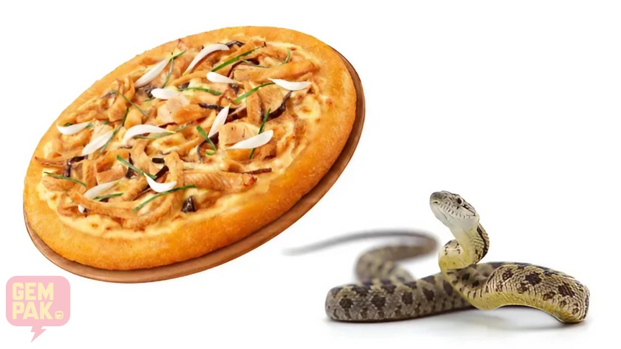 pizza-daging-ular.jpg