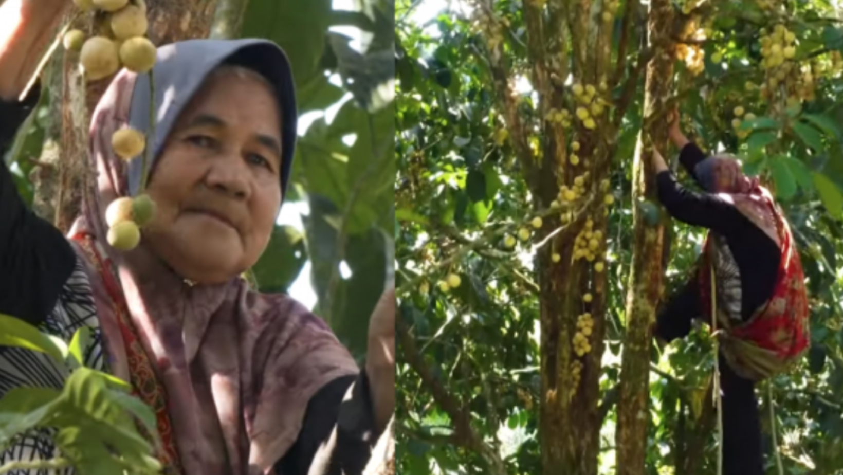 ekin-punya-12_1.png