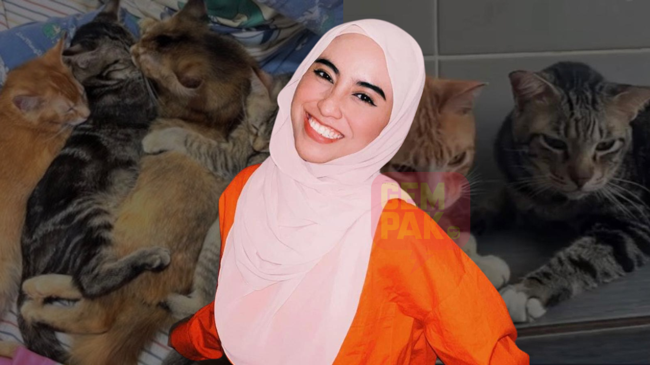 sekadar-gambar-hiasan-2023-10-23t163333-905.png