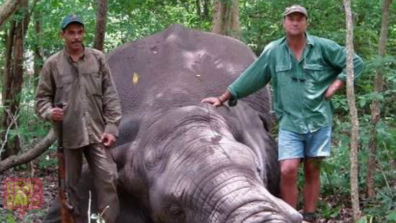theunis-gajah-header_1.jpg