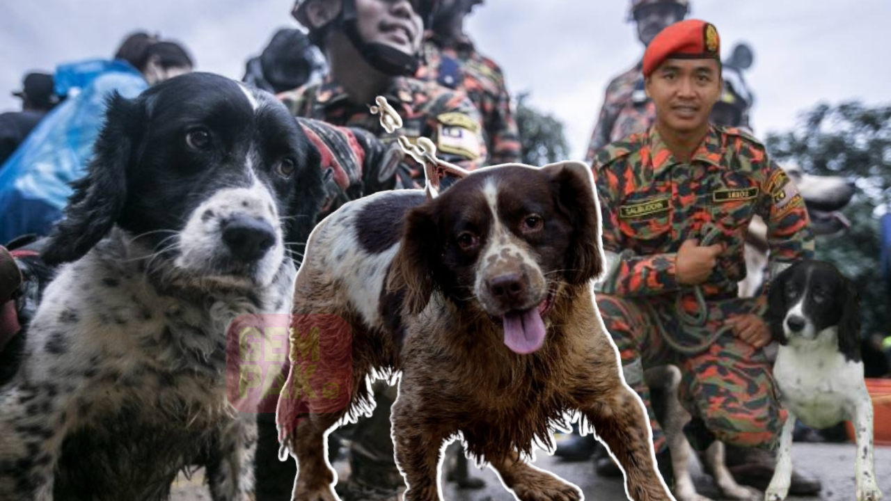 sekadar-gambar-hiasan-2023-09-19t232344-377.png