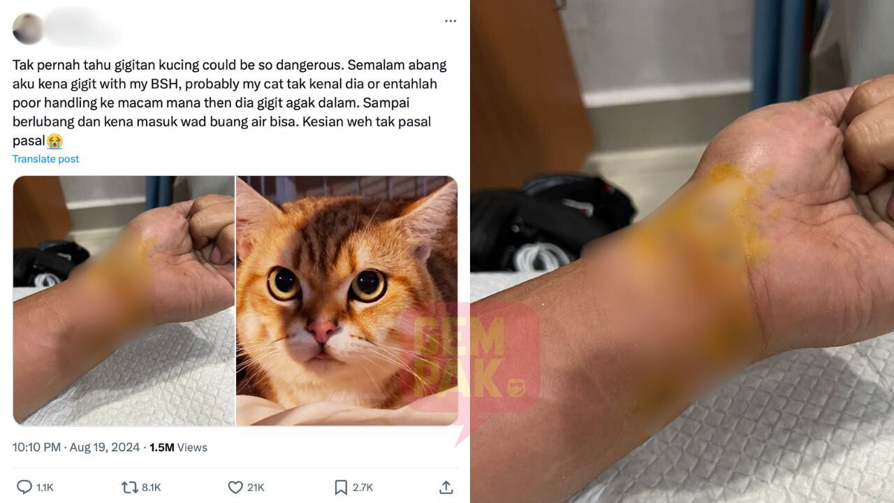 astro-gempak_cut_nabila_intan_tunggang_kes-2.jpg