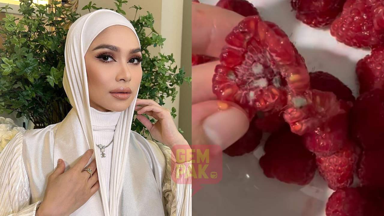 astro_gempak_anzalna-kecewa-beli-buah-dapat-raspberry-busuk-berkulat-mujur-anak-anak-tak-sempat-makan.jpg