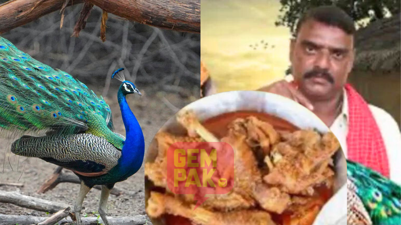 astro_gempak_youtuber-masak-kari-burung-merak.png