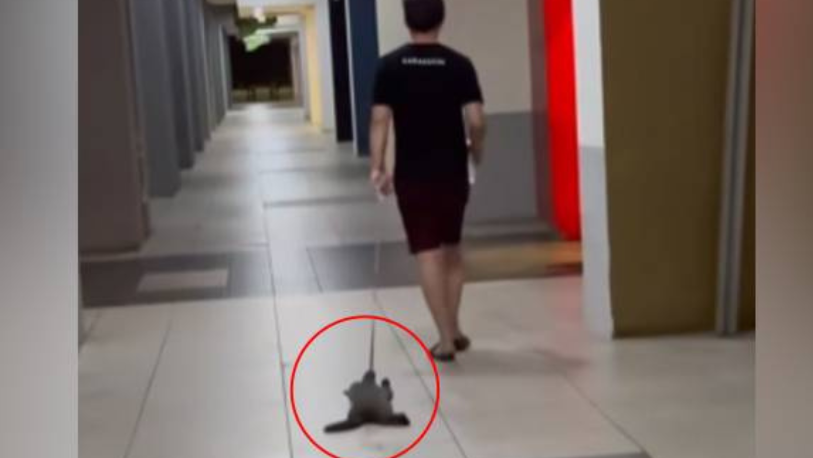 astrogempak_oks.png