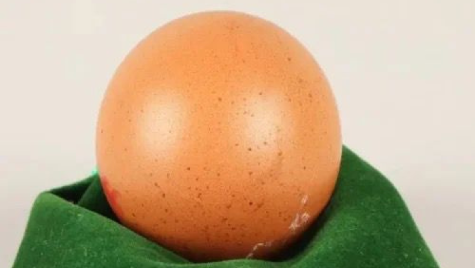 astrogempak_telur.png