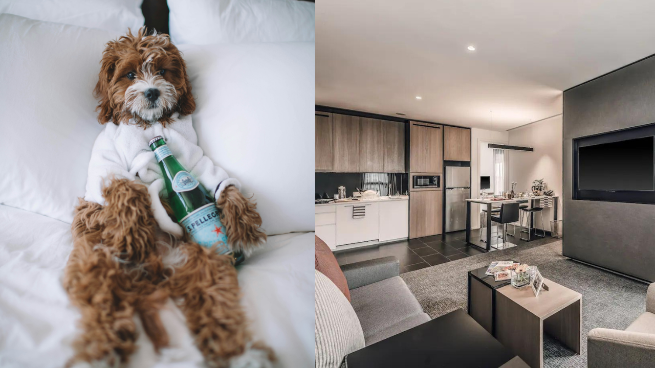 pet-friendly-hotel-kl.png