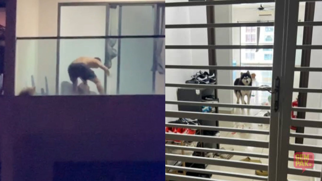 astro-gempak-anjing-huskey-didera-(1).png