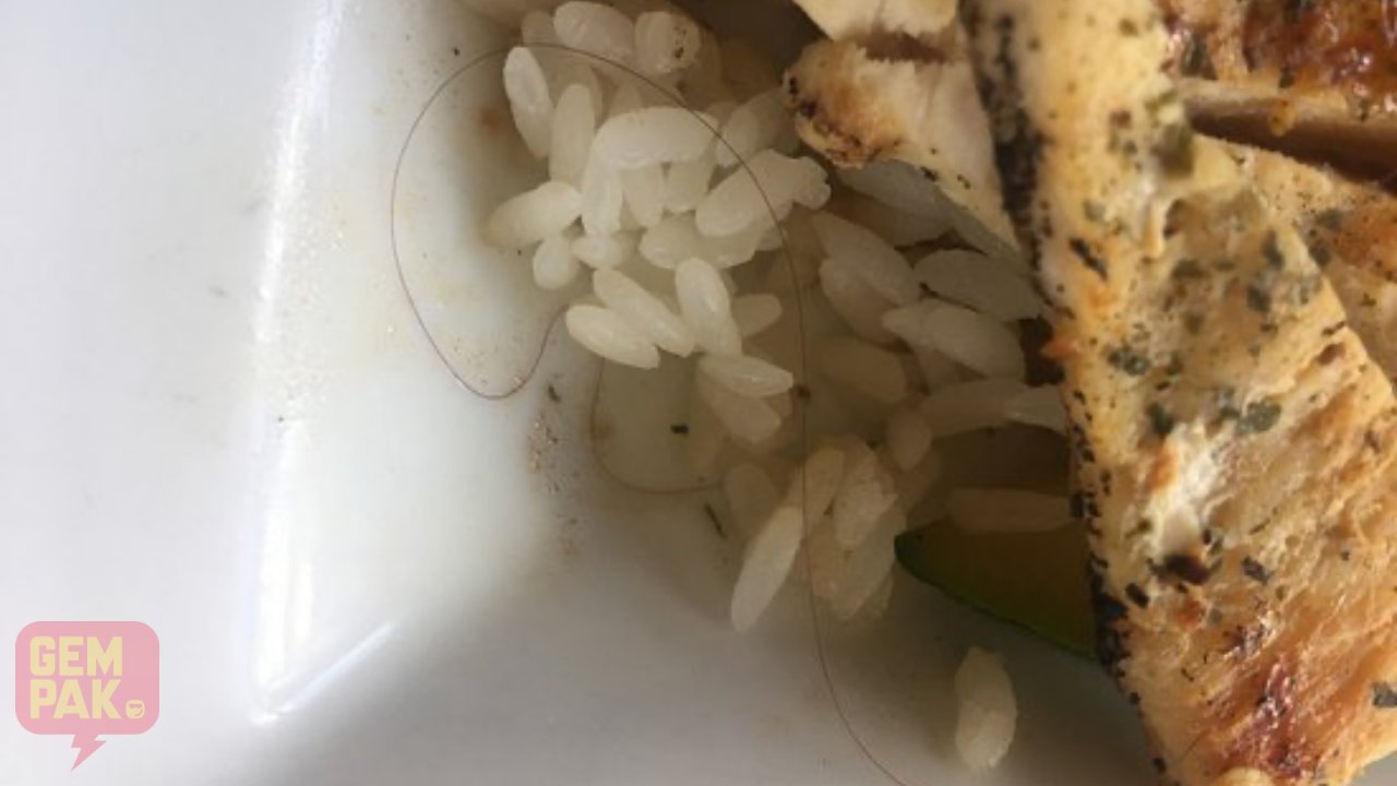 astro-gempak-rambut-dalam-makanan.jpg