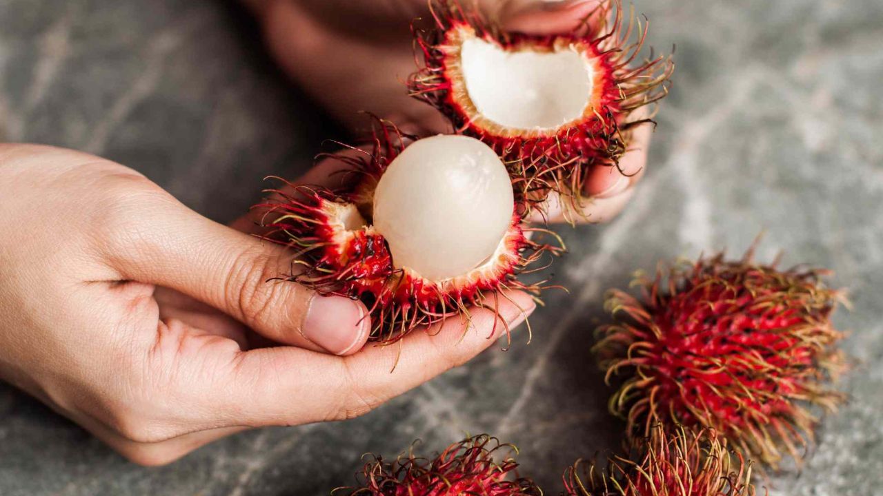 astro_gempak_tercekik_rambutan.jpg