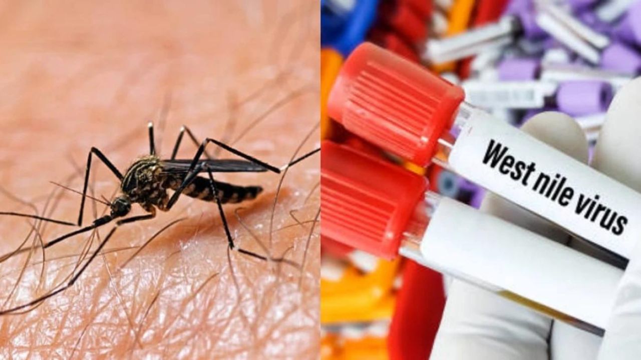 astro_gempak_west_nile.jpg