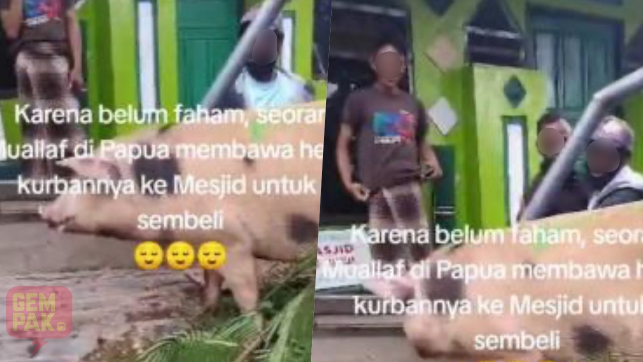 astro-gempak-mualaf-bawa-babi.jpg