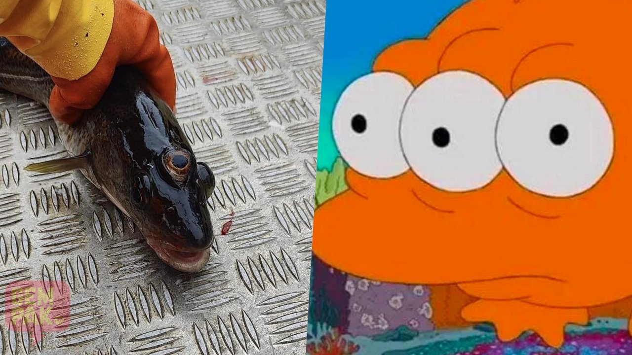 astro-gempak-ramalan-simpsons.jpg