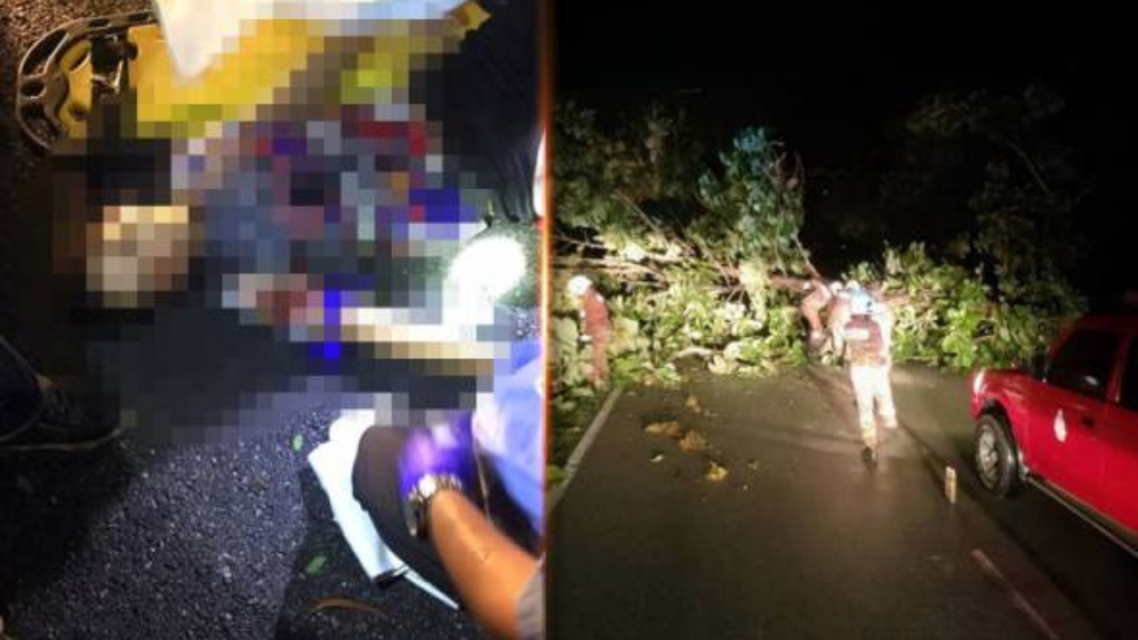 astro_gempak_pokok_tumbang-(1).jpg