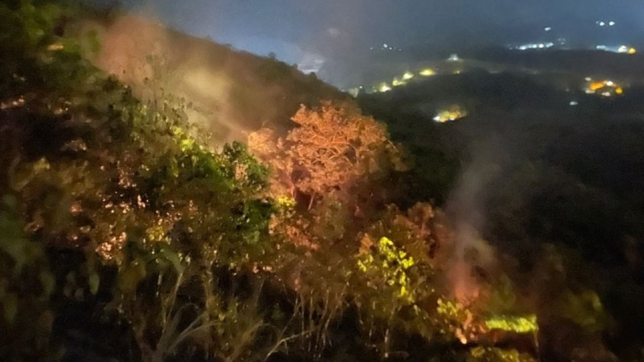 broga-terbakar.jpg
