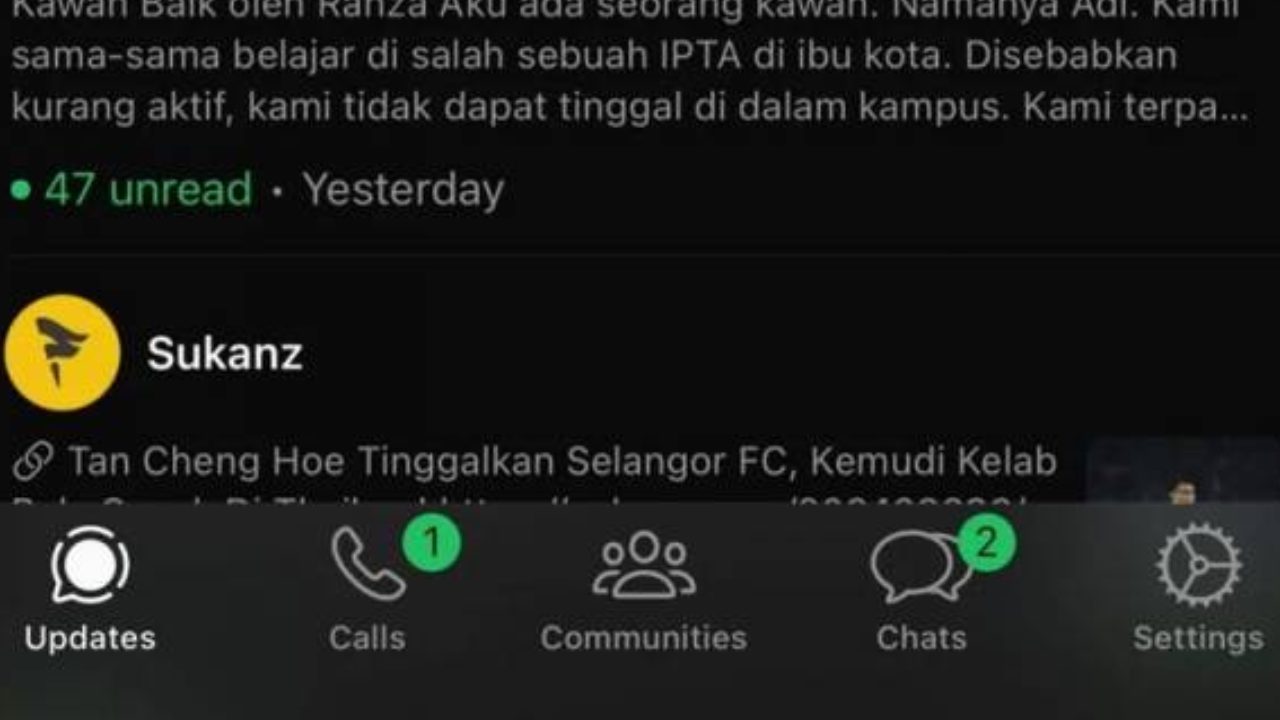 bukan-ada-masalah-rupanya-memang-whatsapp-perkenal-elemen-hijau-sebagai.jpg