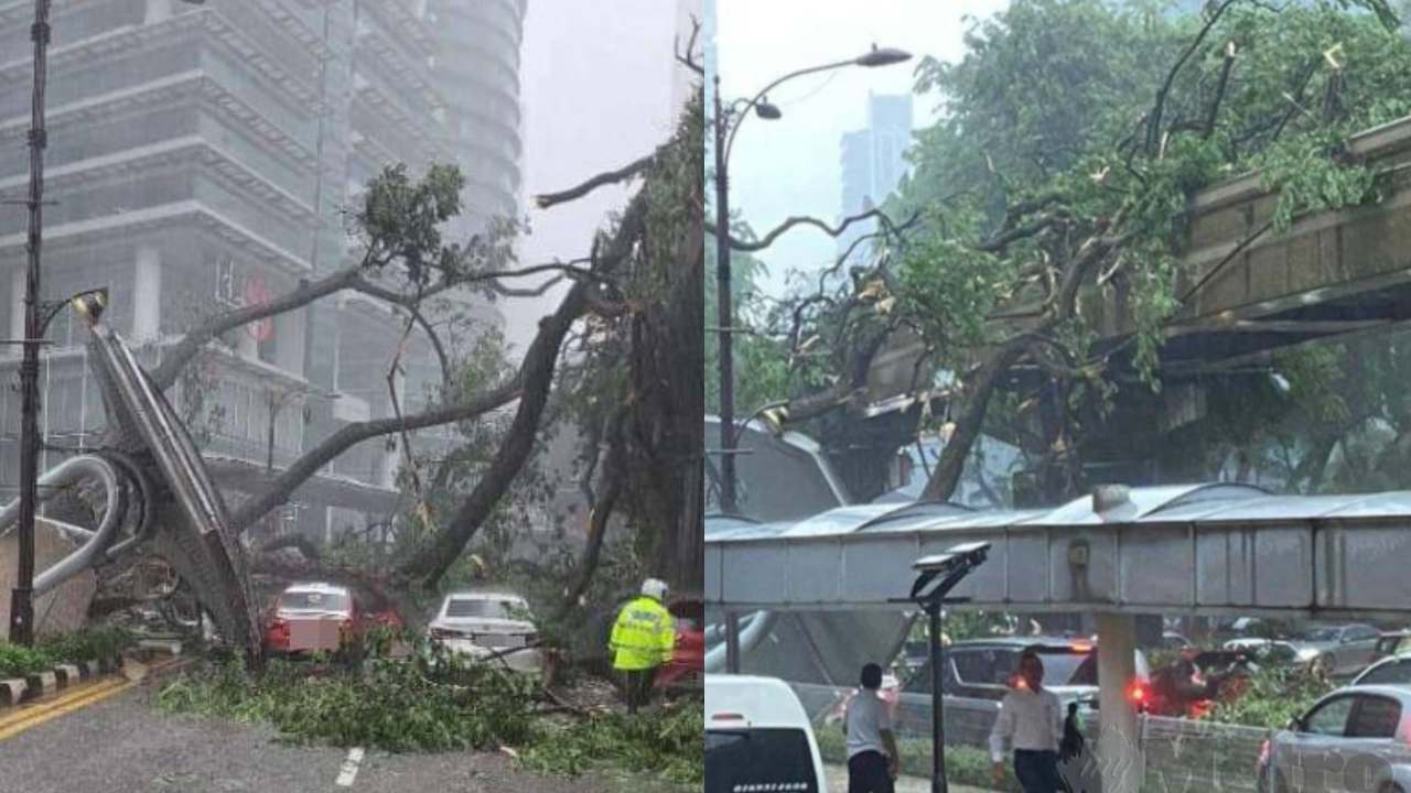 astro-gempak_netizen-sempat-rakam-detik-cemas-pokok-tumbang-hempap-landasan-monorel.jpg