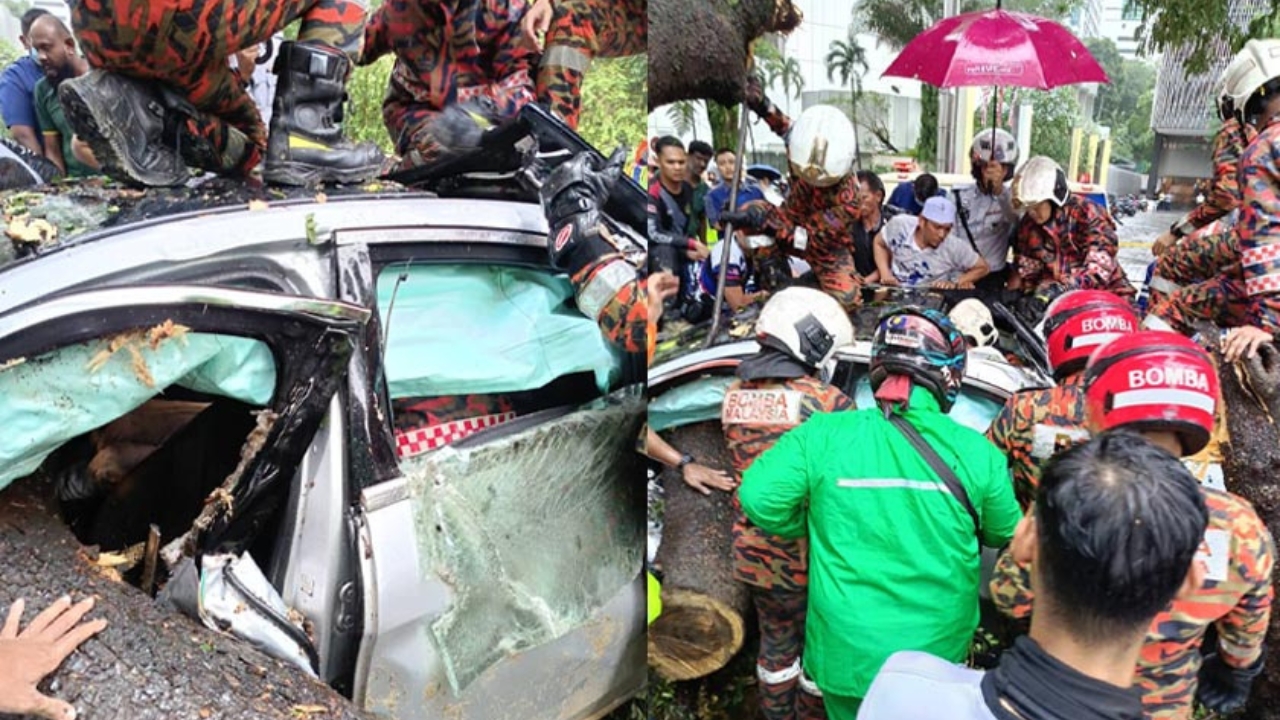 astro_gempak_pokok_tumbang.jpg
