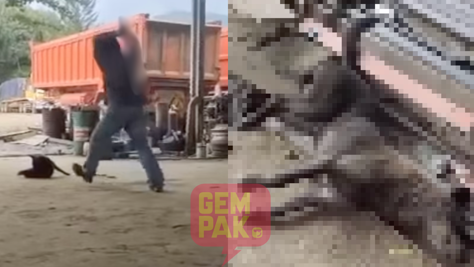 astrogempak_anjing-(1).png