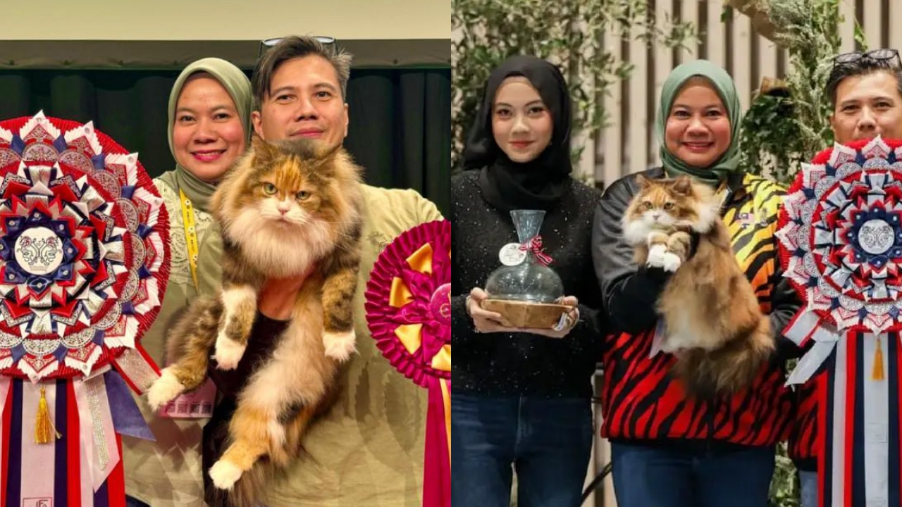catft.jpg