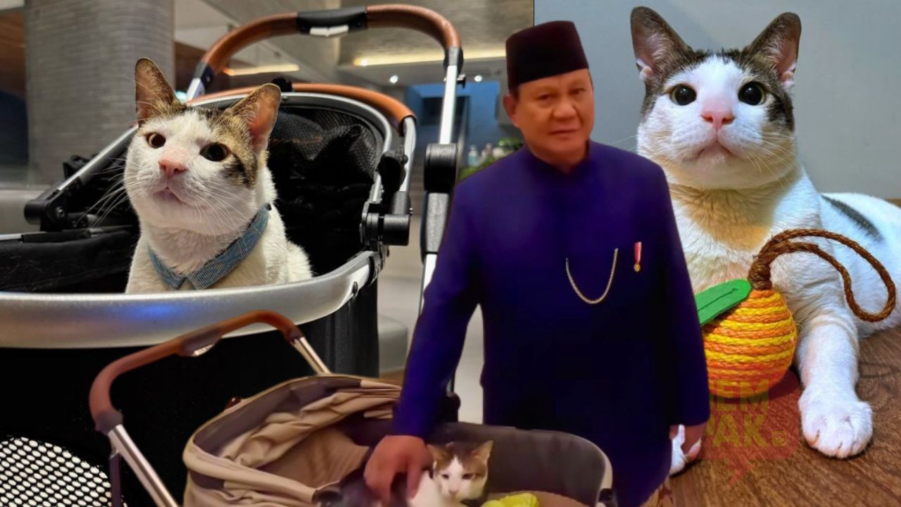 astro_gempak_kucing_prabowo.jpg
