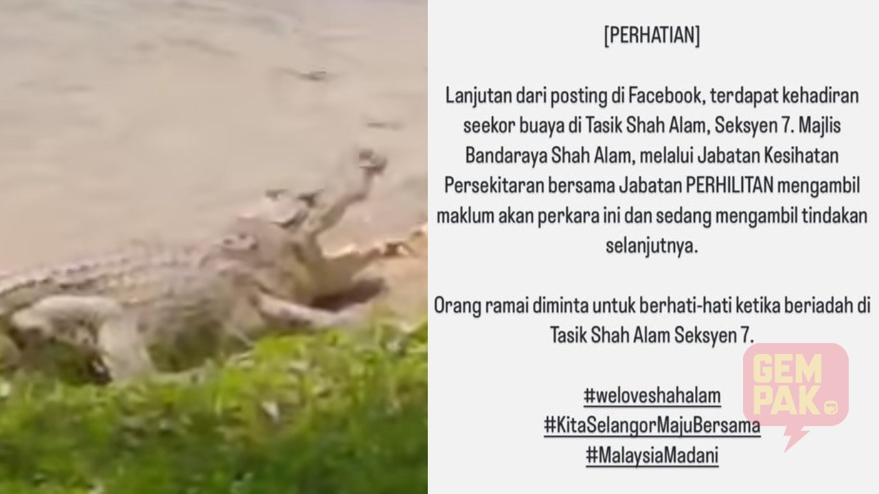 astro_gempak_buaya-muncul-di-tasik-shah-alam_seksyen-7_-mbsa-minta-orang-ramai-berhati-hati.jpg