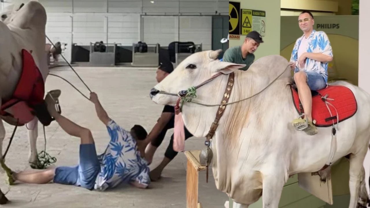 astro_gempak_raffi_jatuh-lembu.jpg