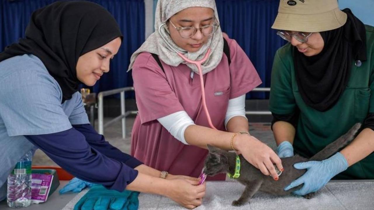 astro_gempak_ular-kura-kura-hamster-antara-haiwan-yang-diselamatkan-dari-lokasi-kebakaran-putra-heights.jpg