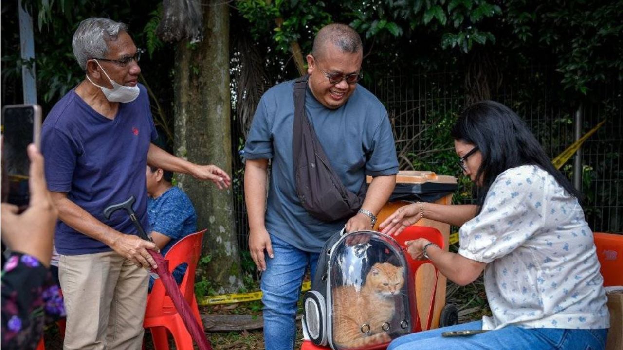 astrogempak_shahrizal_berpisah_kucing_30_jam-jpg.jpeg