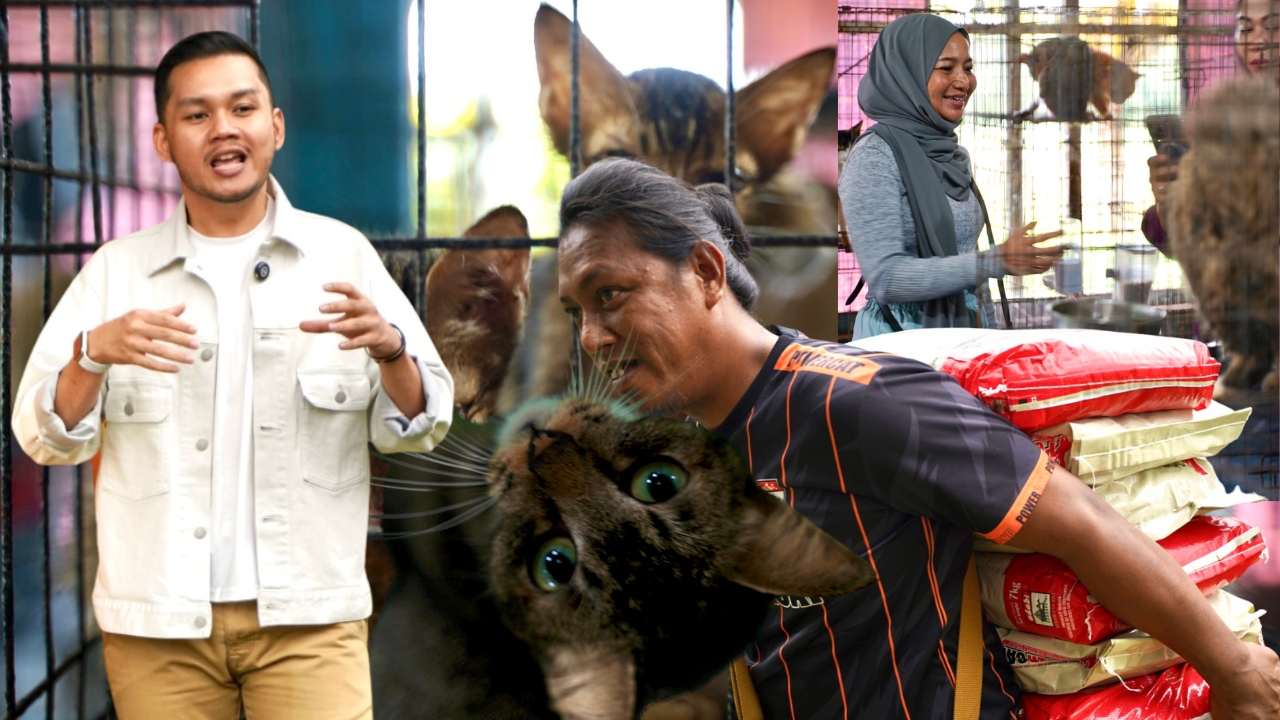 astro_gempak_purrfect-(1).jpg