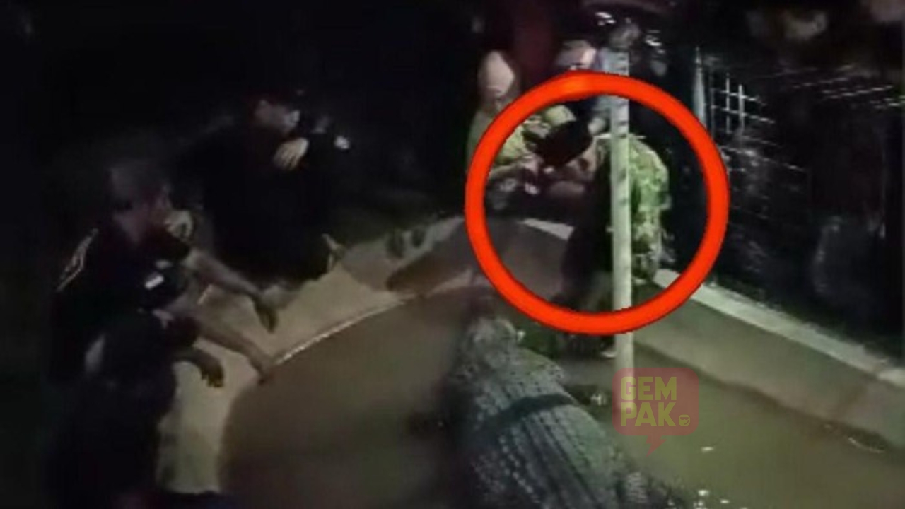 astro_gempak_pawang_buaya.jpg