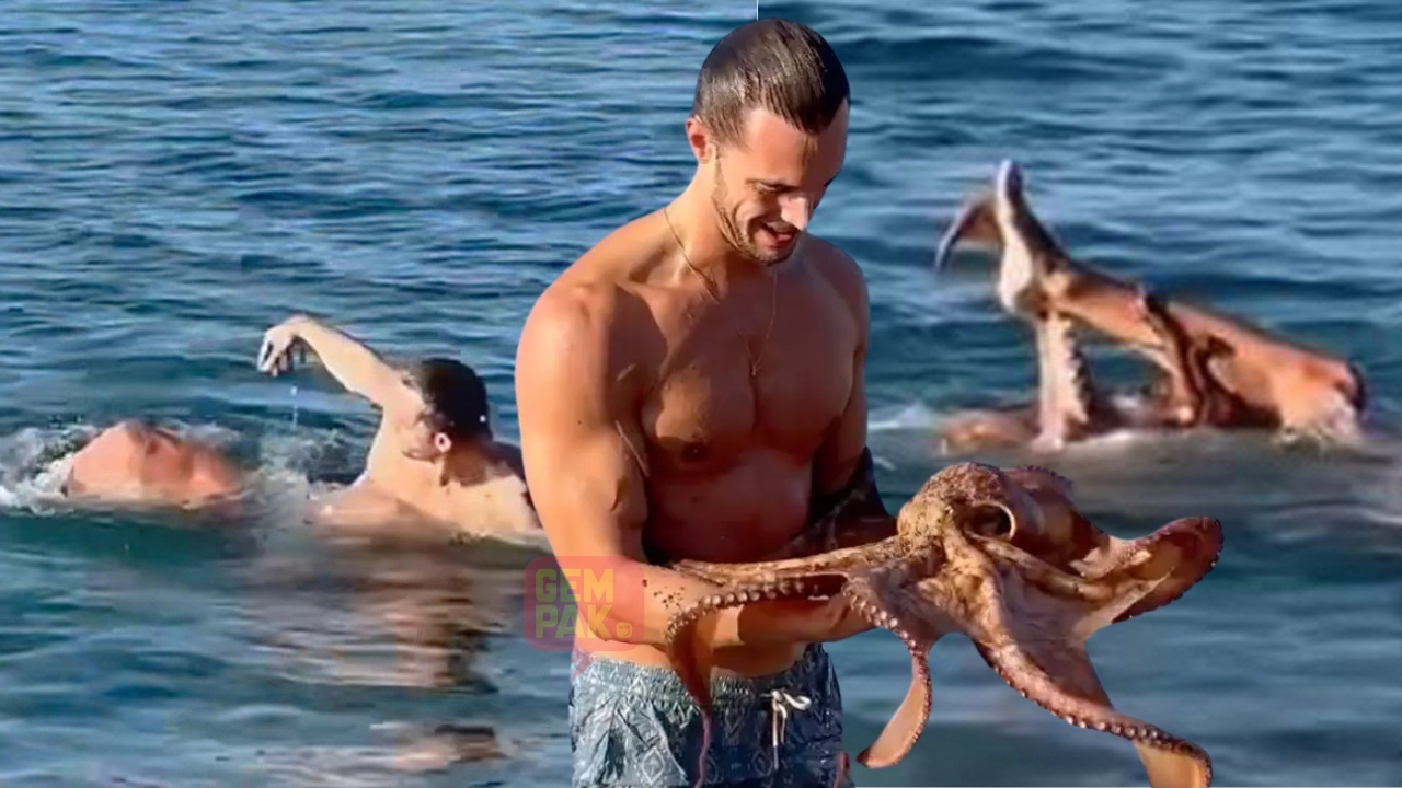 astro_gempak_federico-cola_octopus.jpg