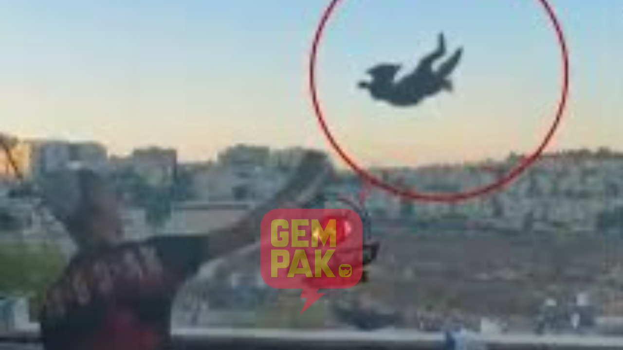 astro_gempak_remaja-israel-campak-kucing-dari-tingkat-lima-bangunan.png