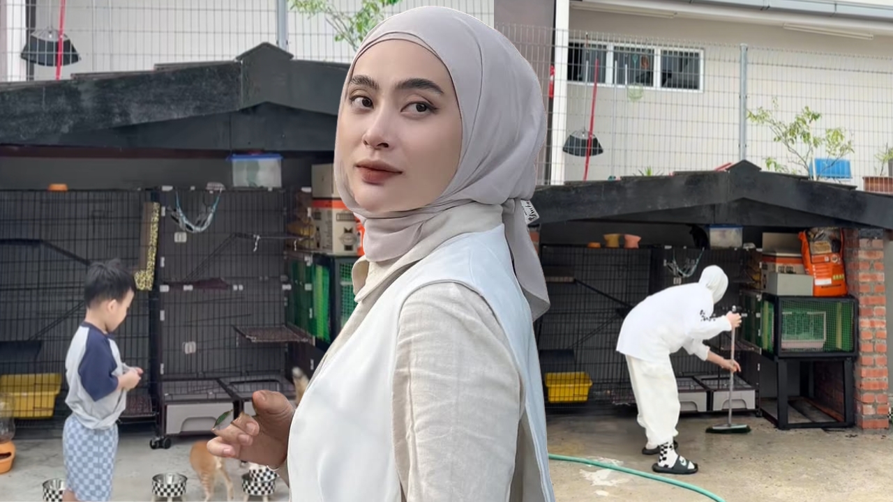 astro_gempak_adira_sangkar_kucing.jpg